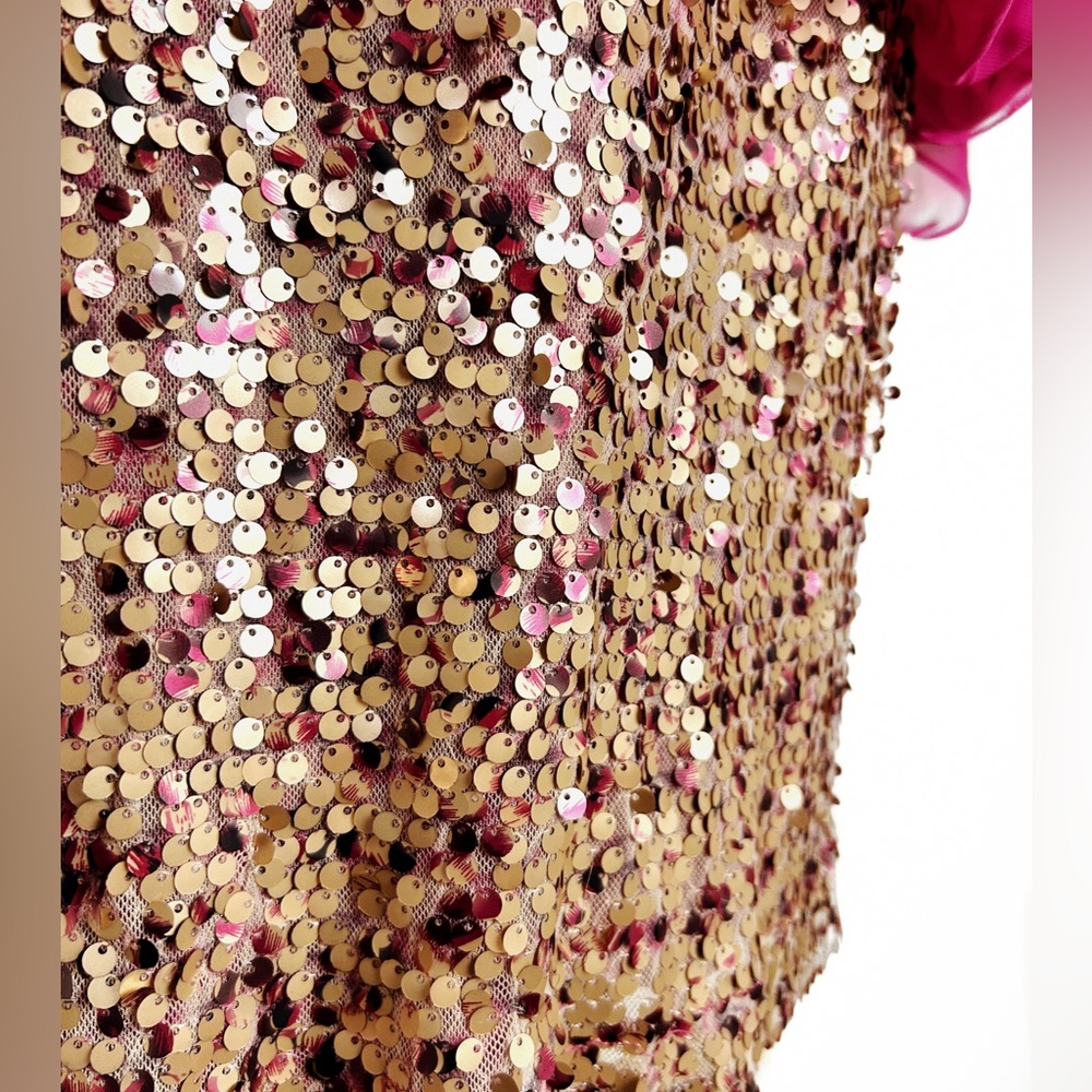 Fuchsia Sequin Bottom Dress - Picture 8 of 12